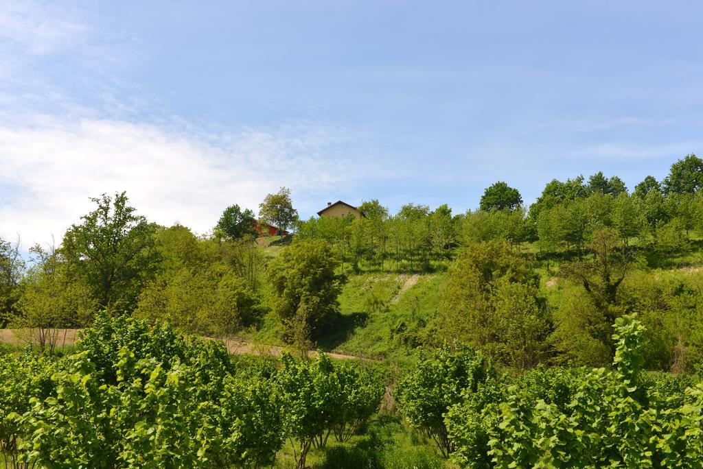 Casa Vacanze Il Brichet Mondovi Phòng bức ảnh